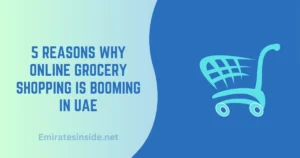 5 Reasons Why Online Grocery Shopping is Booming in UAE