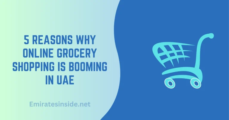 5 Reasons Why Online Grocery Shopping is Booming in UAE