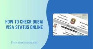 How to Check Dubai Visa Status Online