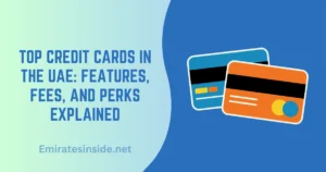 Top Credit Cards in the UAE Features, Fees, and Perks Explained