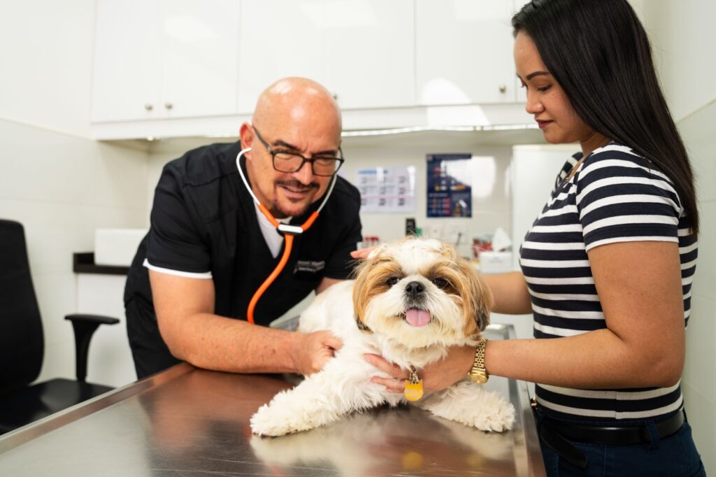 A male veterinarian, wearing glasses and holding a stethoscope, and a woman examine a fluffy dog on a clinic table. The dog looks happy with its tongue out.