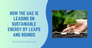 How the UAE is Leading on Sustainable Energy By Leaps and Bounds